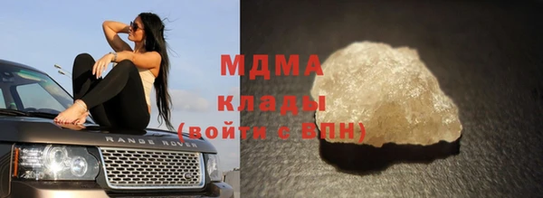 индика Бронницы