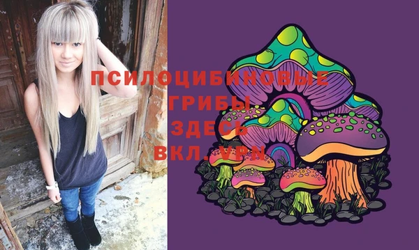 mix Бородино