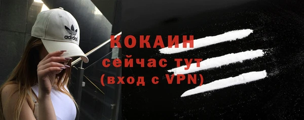 mix Бородино
