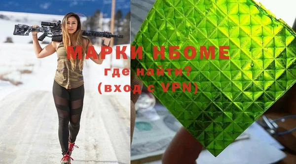 индика Бронницы