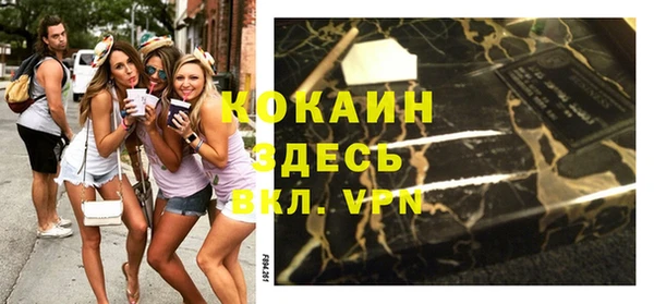 mix Бородино