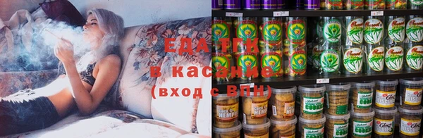 индика Бронницы