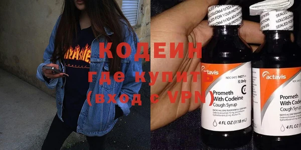 индика Бронницы