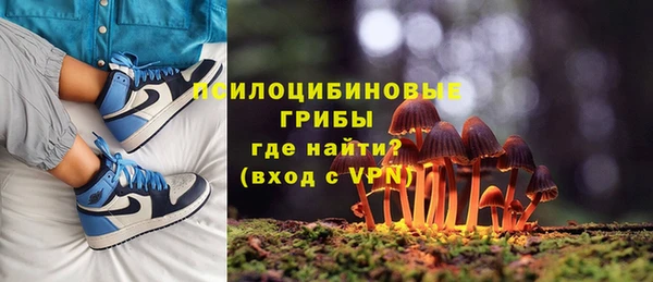 mix Бородино